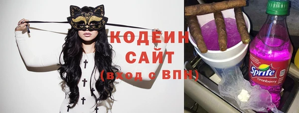 шишки Иннополис
